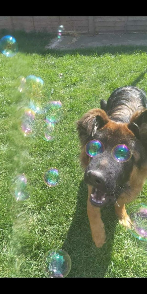 Right Moment (34 pics)