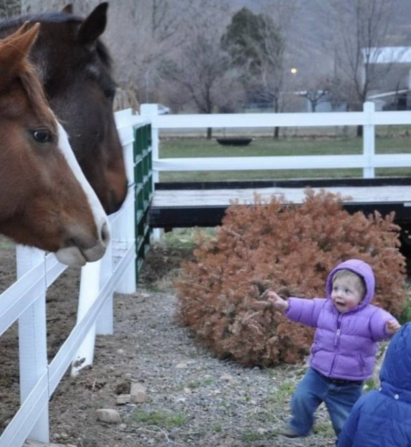 Right Moment (34 pics)