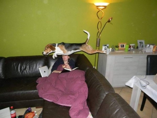 Right Moment (34 pics)