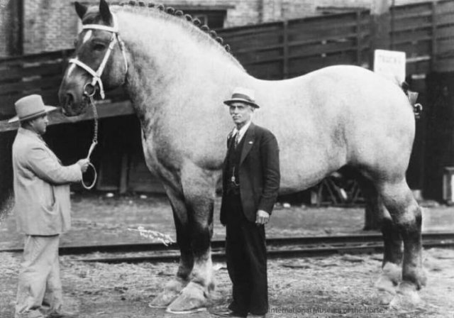 Great Historical Photos (40 pics)
