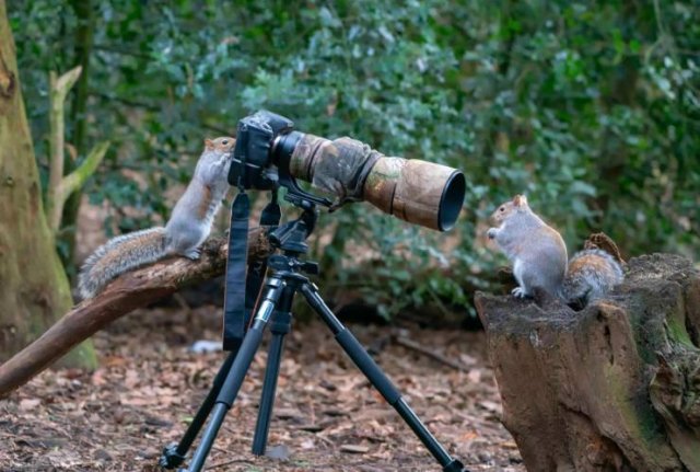 Acid Picdump. Part 2 (93 pics)