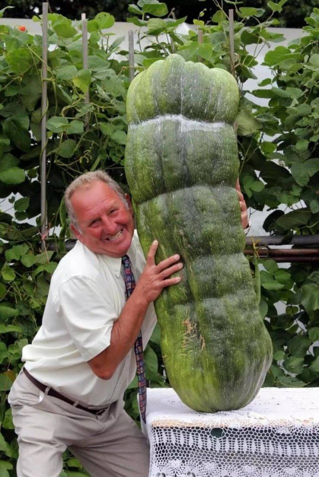 Acid Picdump. Part 1 (95 pics)