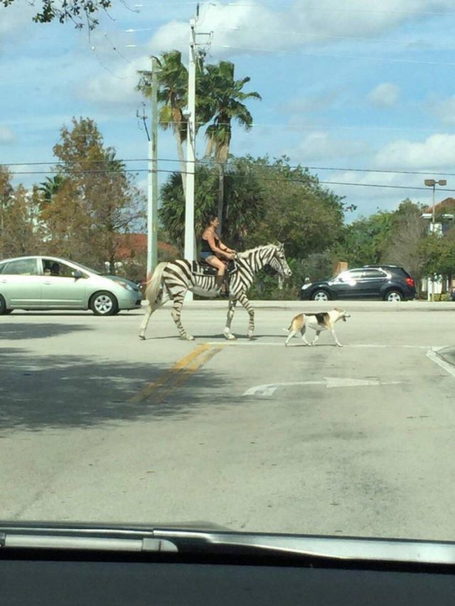 Acid Picdump. Part 1 (95 pics)