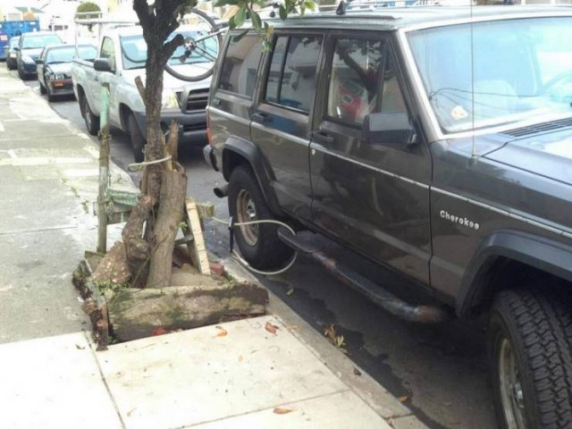 Acid Picdump. Part 1 (95 pics)