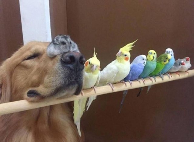 Acid Picdump. Part 2 (93 pics)