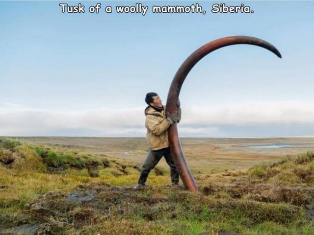 Acid Picdump. Part 2 (93 pics)