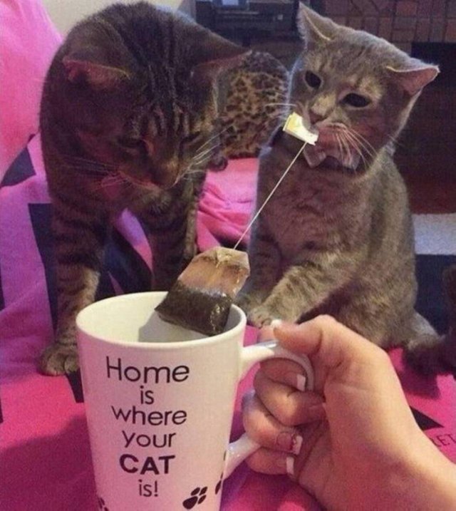Acid Picdump. Part 1 (95 pics)