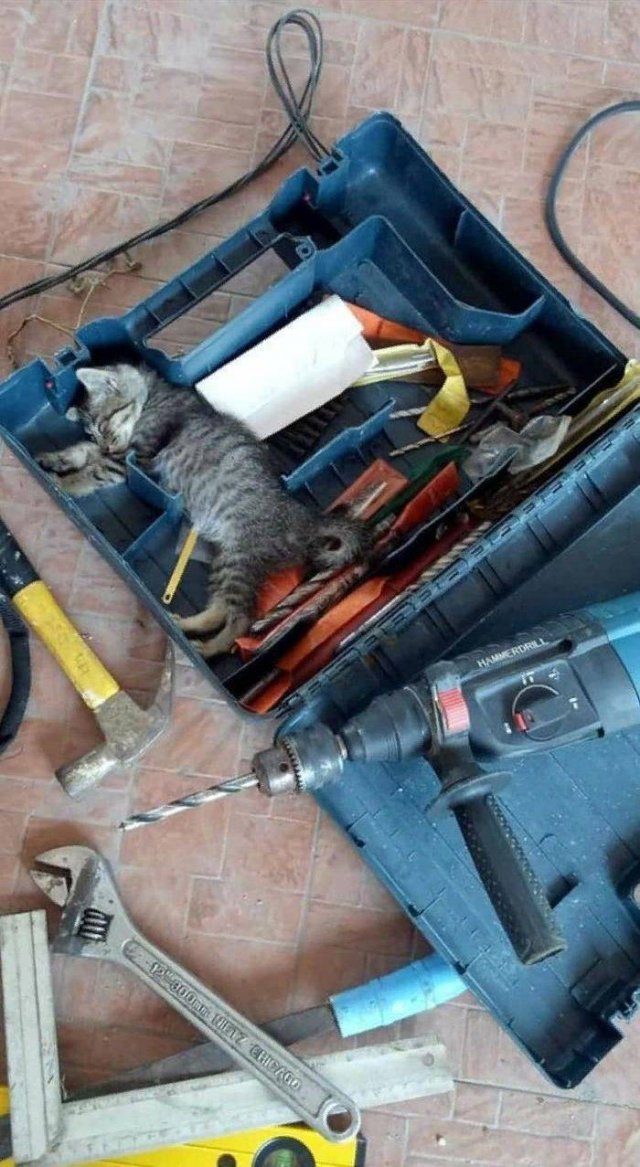 Acid Picdump. Part 1 (95 pics)