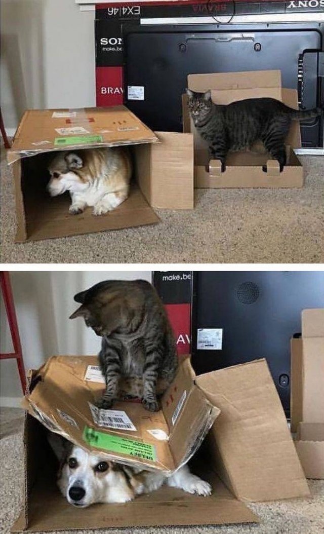 Acid Picdump. Part 1 (95 pics)