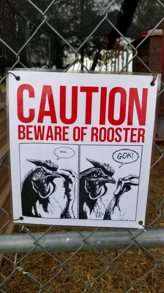 Acid Picdump. Part 2 (93 pics)