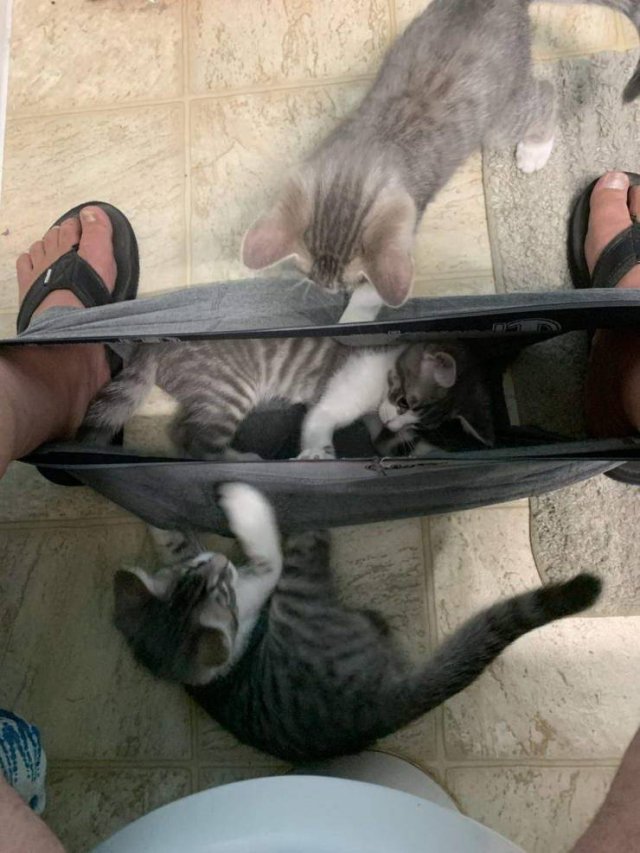 Acid Picdump. Part 1 (95 pics)