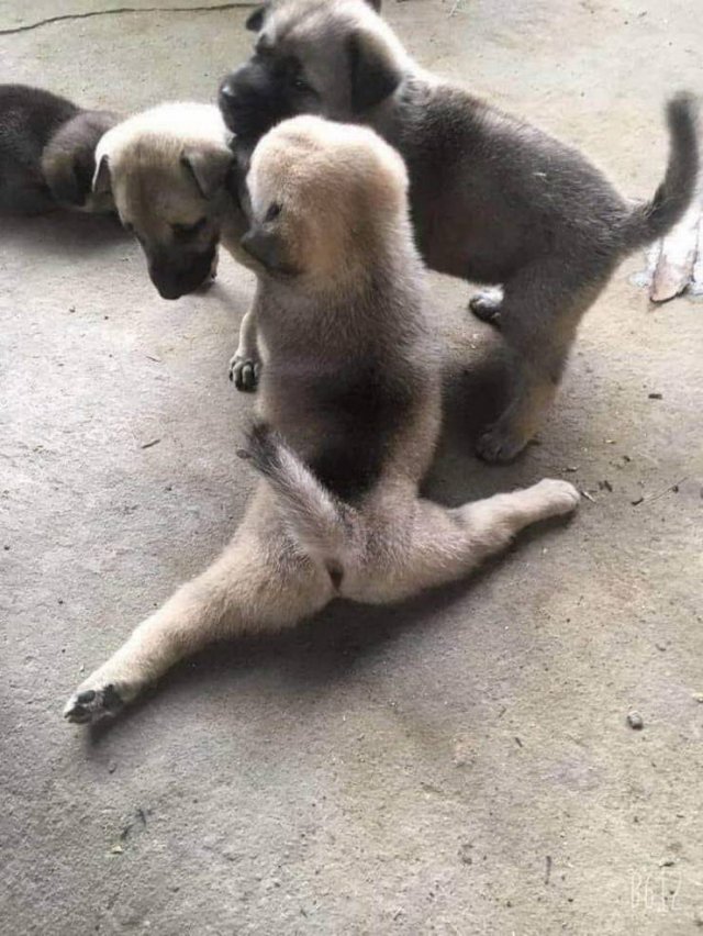 Acid Picdump. Part 1 (95 pics)