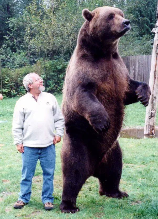Acid Picdump. Part 1 (95 pics)