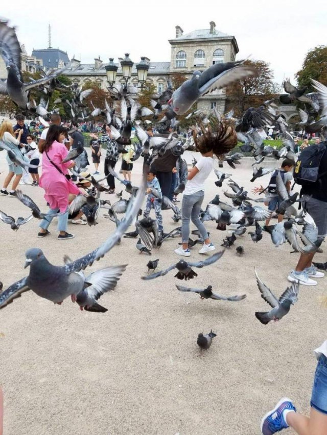 Acid Picdump. Part 1 (95 pics)
