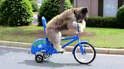 Acid Gifdump, July 28 (25 gifs)