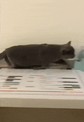 Acid Gifdump, July 28 (25 gifs)