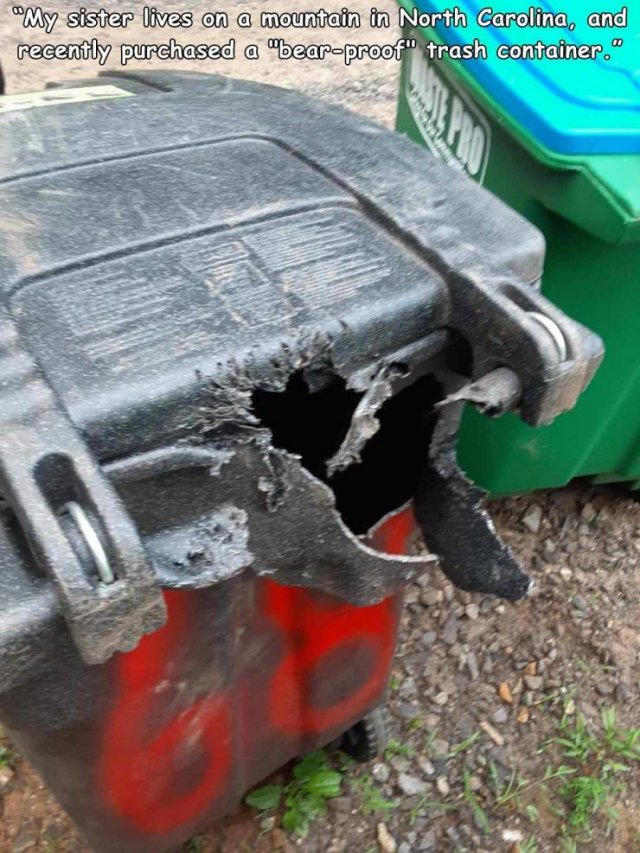 Bad Days Happen (49 pics)