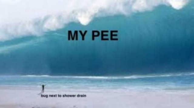 Memes For Men (24 pics)