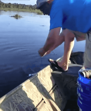Wins And Fails (24 gifs)
