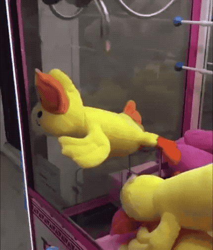 Wins And Fails (24 gifs)