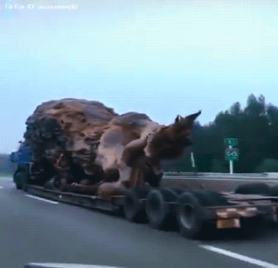 Wins And Fails (24 gifs)