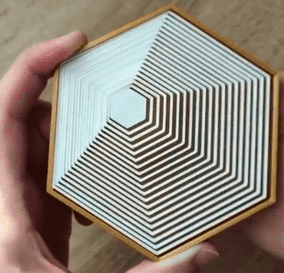 Wins And Fails (24 gifs)