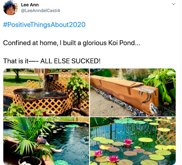 Positive Things About 2020 (25 pics)