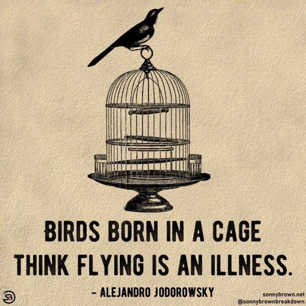 Pictures For Your Motivation (28 pics)