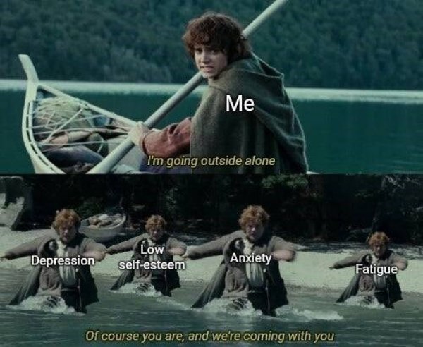 LOTR Memes (35 pics)