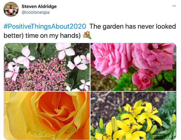 Positive Things About 2020 (25 pics)