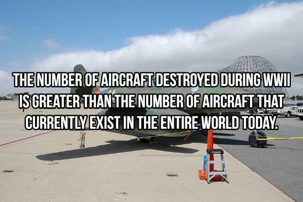 Historical Facts (14 pics)