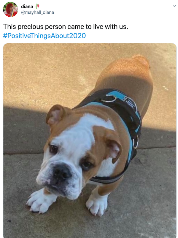 Positive Things About 2020 (25 pics)
