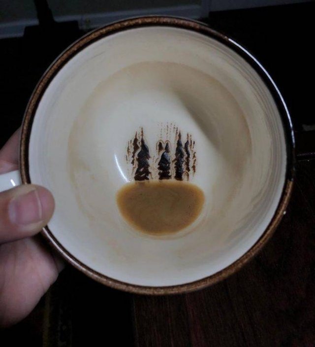 Look Twice (15 pics)