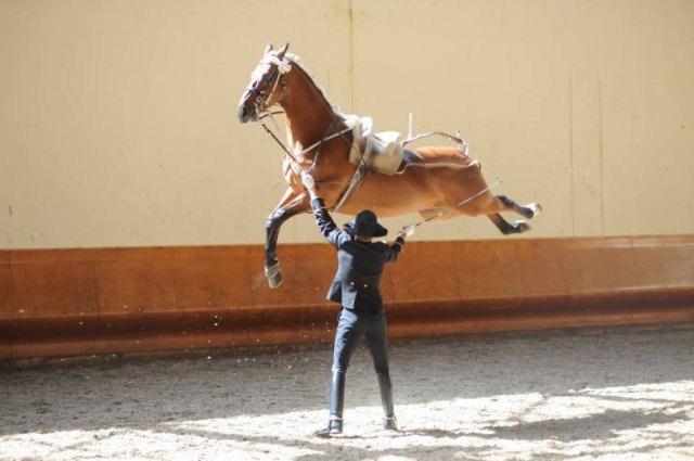 Right Moment (40 pics)