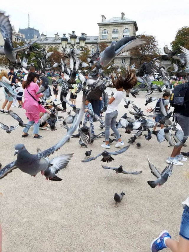 Right Moment (40 pics)