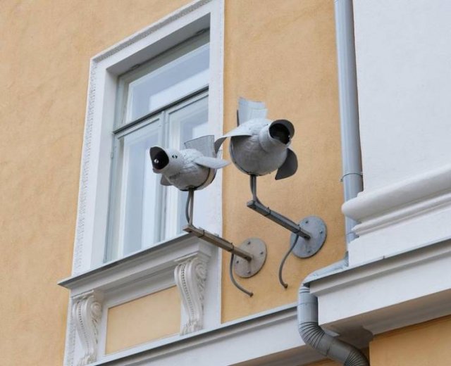 Look Twice (15 pics)