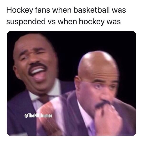 NHL Memes (29 pics)