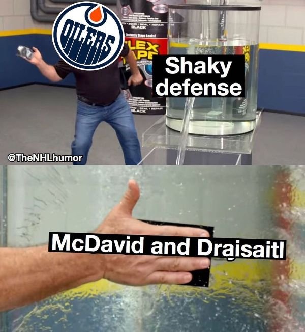NHL Memes (29 pics)