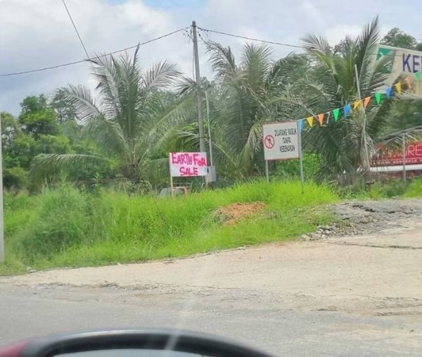 Funny Signs (34 pics)