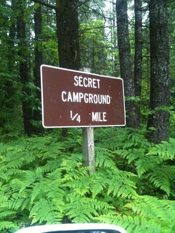 Funny Signs (34 pics)
