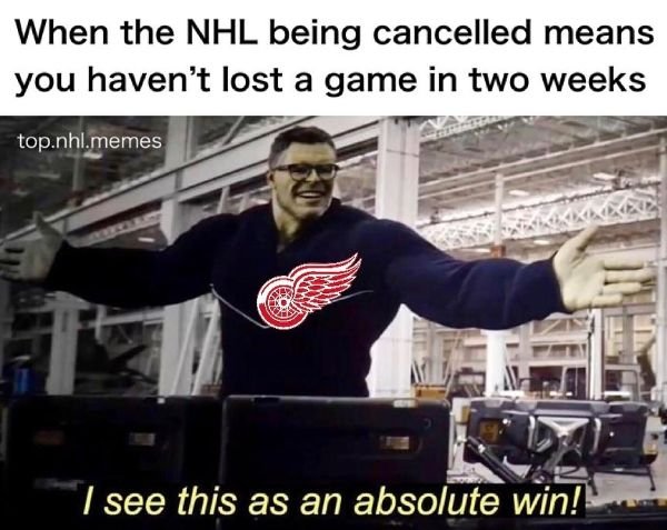 NHL Memes (29 pics)