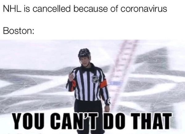 NHL Memes (29 pics)