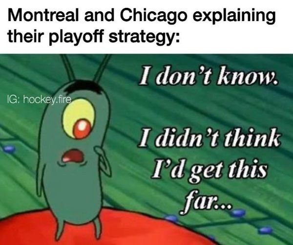 NHL Memes (29 pics)