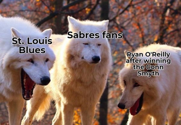NHL Memes (29 pics)