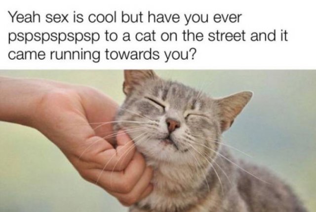 Wholesome Memes (40 pics)