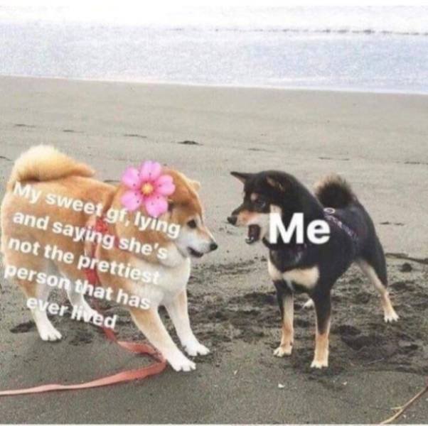 Wholesome Memes (40 pics)