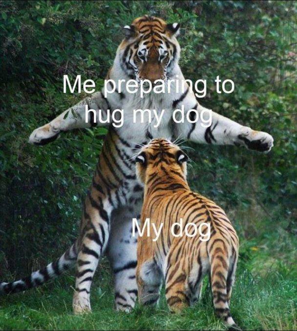 Wholesome Memes (40 pics)