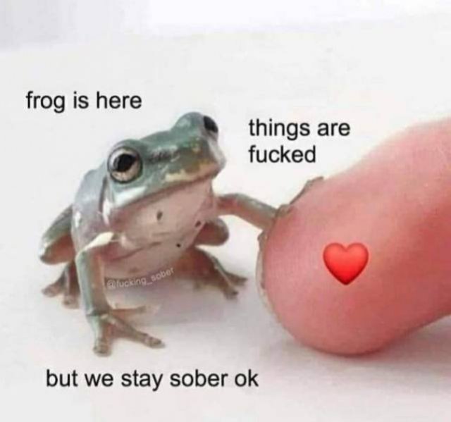 Wholesome Memes (40 pics)