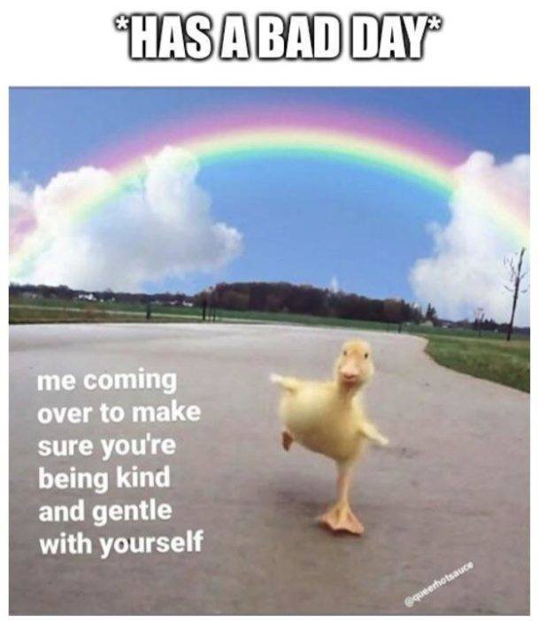 Wholesome Memes (40 pics)