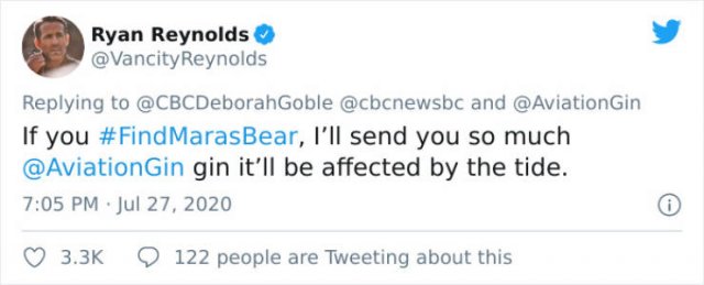 Ryan Reynolds Helped A Woman To Find Her Stolen Teddy (19 pics)